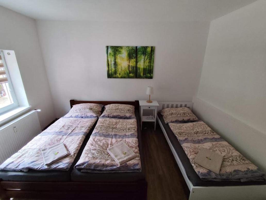 Apartman Terezka Jílové Exteriér fotografie