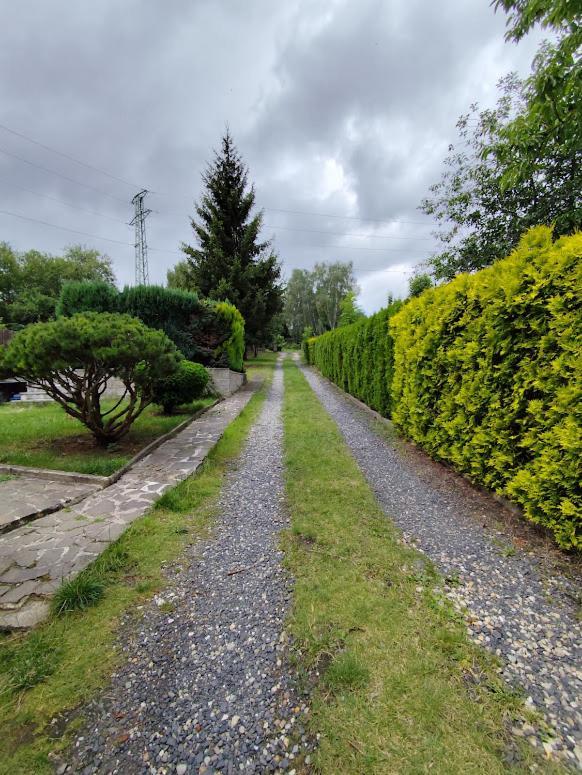 Apartman Terezka Jílové Exteriér fotografie